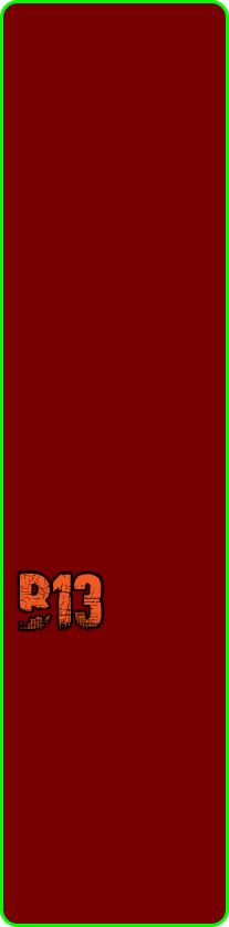 B13
